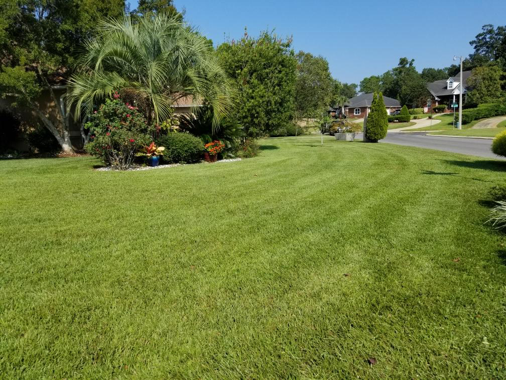 Pensacola Lawn Maintenance - Cuts-N-Beyond