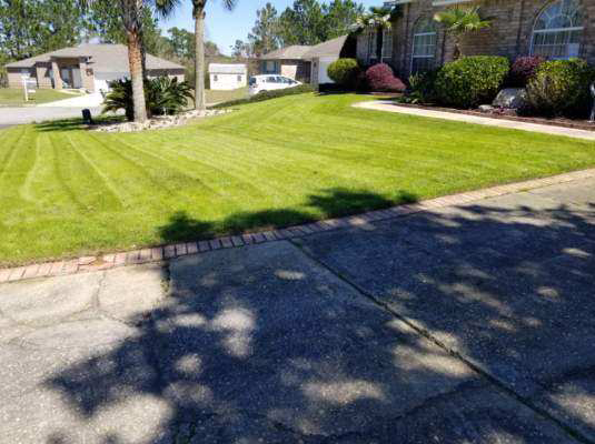 Residential Lawn Maintenance - Cuts-N-Beyond